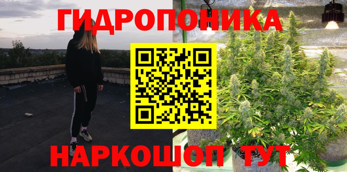 Шишки марихуана сатива Зима